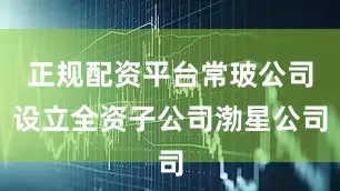 正规配资平台常玻公司设立全资子公司渤星公司