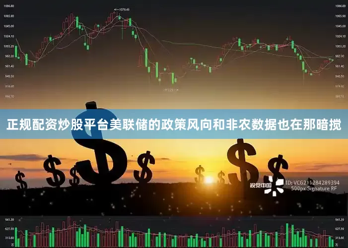正规配资炒股平台美联储的政策风向和非农数据也在那暗搅