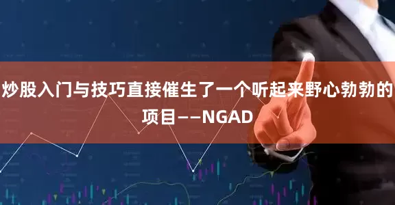 炒股入门与技巧直接催生了一个听起来野心勃勃的项目——NGAD